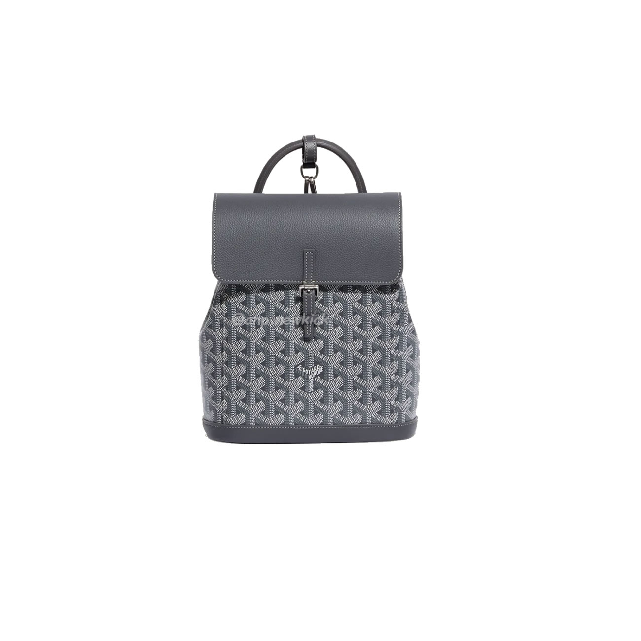 Goyard Alpin Mini Backpack 23 Cm X 9.5 Cm X 19 Cm (10) - newkick.vip